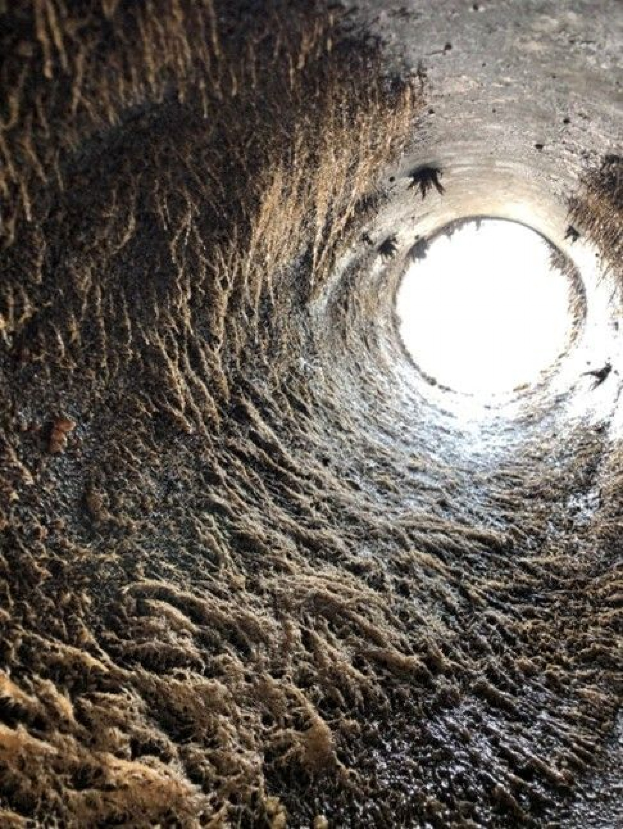 Grisebaserede rensesystemer