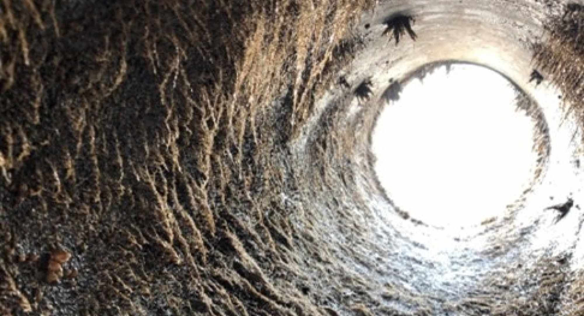 Grisebaserede rensesystemer